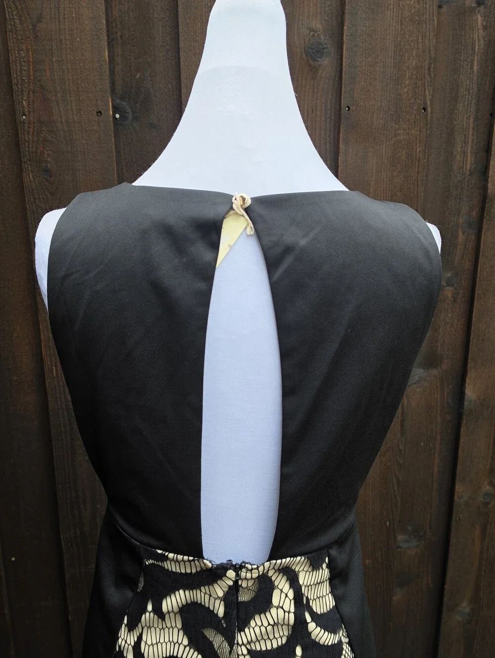 BLVD Mini Dress with Lace Trim - Picture 6 of 9